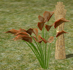 Herbs Upright Ochoa.png