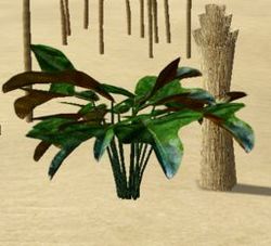 Herbs VerdantSquill.jpg