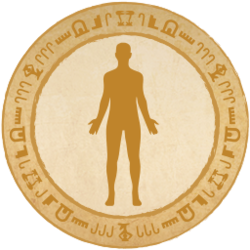 Principles of The Human Body