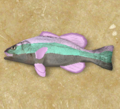 IvoryKnifefish.png