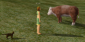 Me, my Cat Malu and my first Cow.png