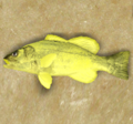 Serpentfish.png