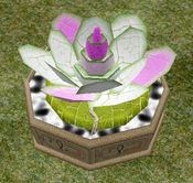 Spat's Enormous Blunder