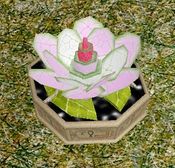 Spat's Slight Miscalculation