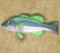 SpinyDogfish.png