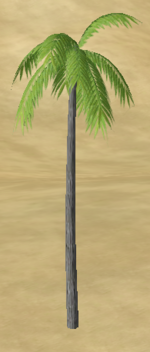 Towering Palm
