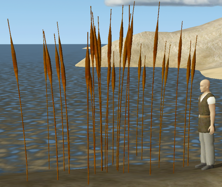 Cattails.png