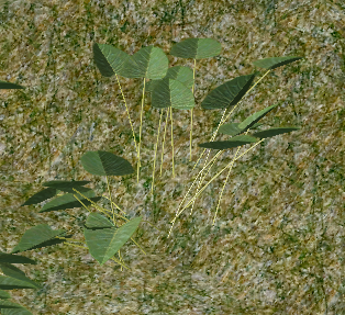 GreenGroundCover.png