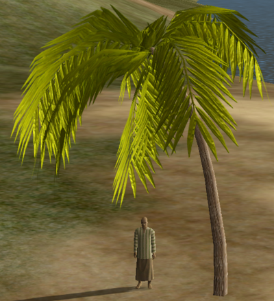 DatePalm.png