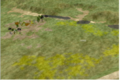 Blue Grass Plains.png