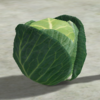 Cabbage.png