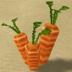Carrot