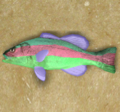 Chromis.png
