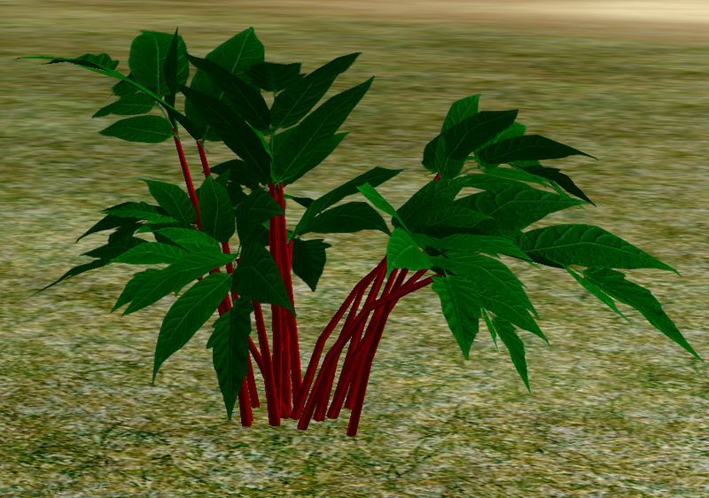 File:Herbs CrimsonNightshade.png