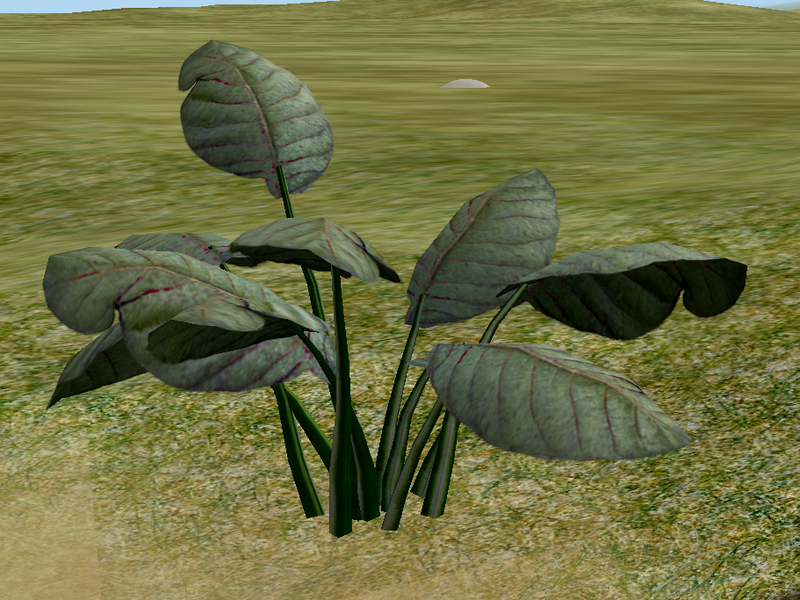 File:Herbs Dameshood.png