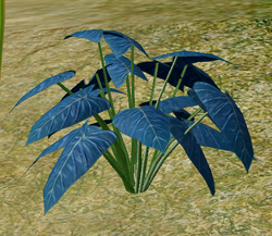 Herbs DankMullien.png