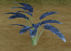 Herbs DustyBlueSage.png