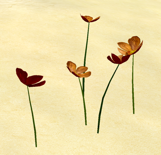 File:Herbs FlandersBlossom.png