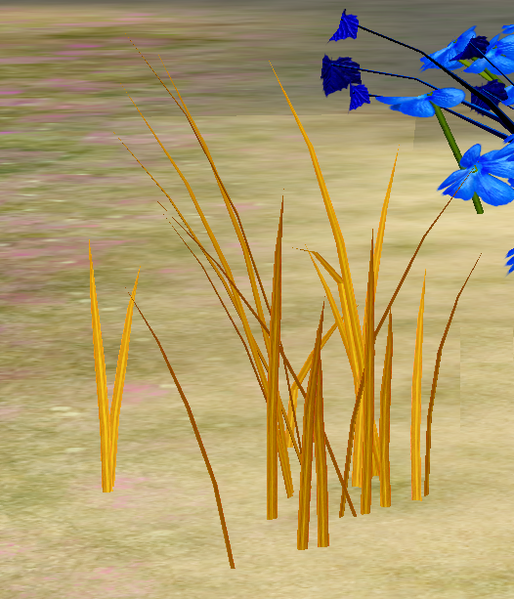 File:Herbs GoldenSweetgrass.png