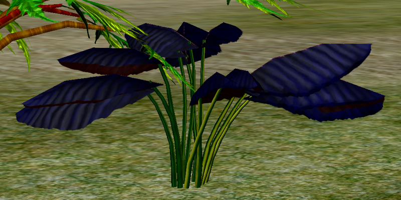 File:Herbs Maragosa.png