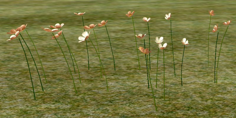 File:Herbs Mariae.png