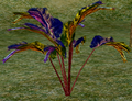 Herbs OpalHarebell.png