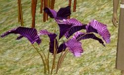 Herbs PurpleTintiri.jpg