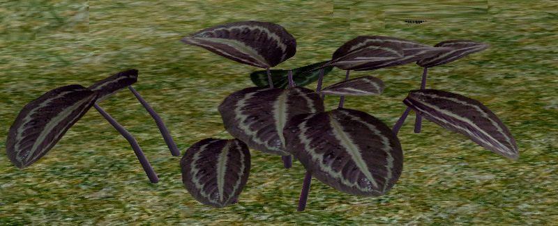 File:Herbs Revivia.png