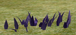 Herbs SteelBladegrass.png