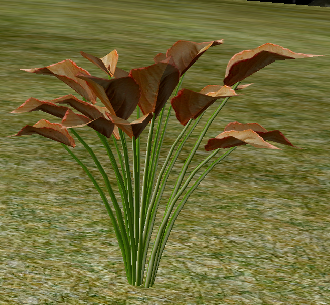 File:Herbs UprightOchoa.png