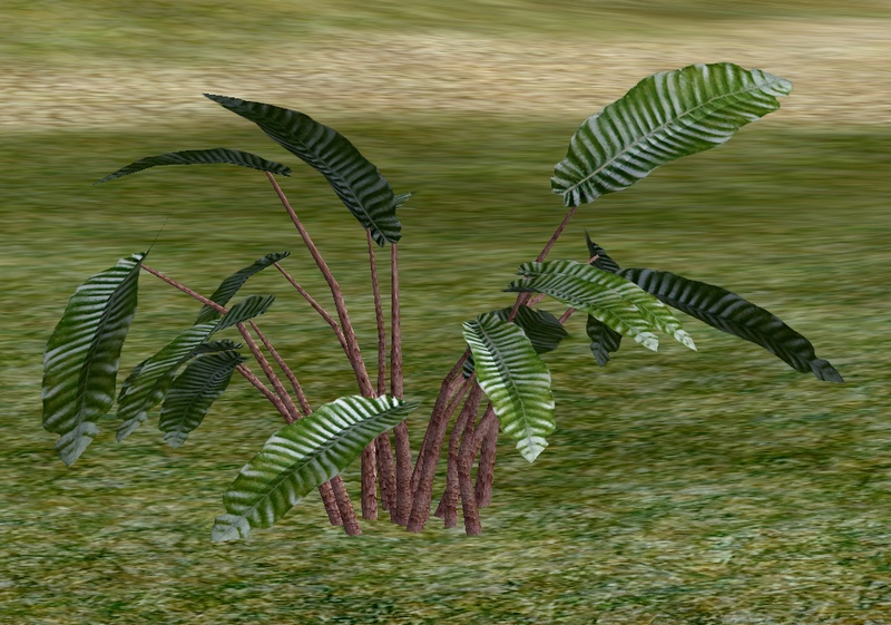 File:Herbs WoodSage.png