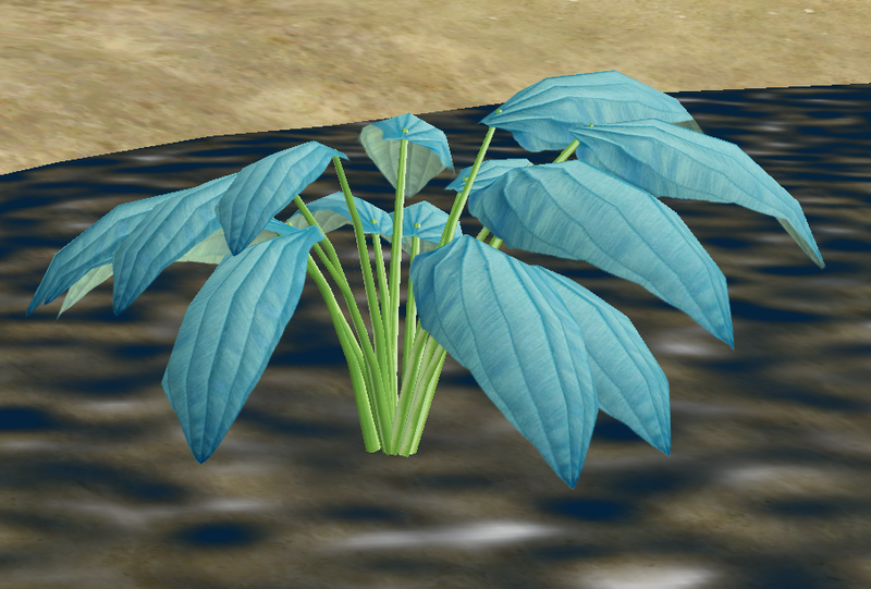 File:Herbs Xanosi.png