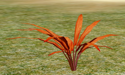 Herbs YellowTristeria.png