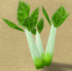 Leeks