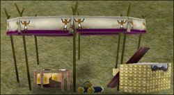 Aqueduct Construction Site