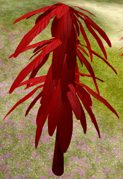 File:Tree-1-AutumnBloodbark.png