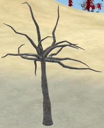 Tree-1-DeadwoodTree.png