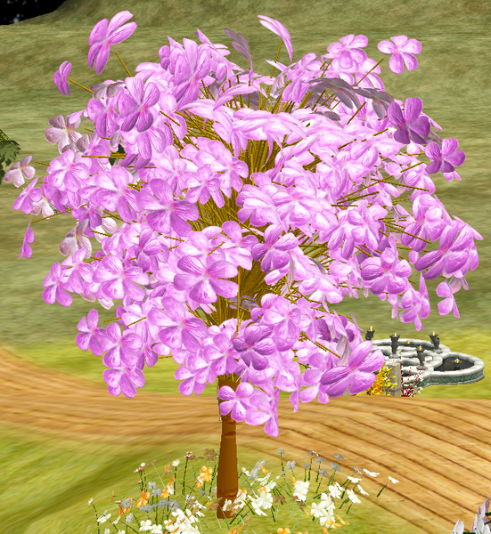 File:Tree-1-JapaneseCherry.png
