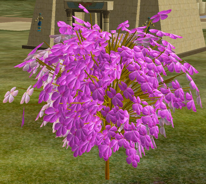 File:Tree-1-JapaneseCherrySapling.png