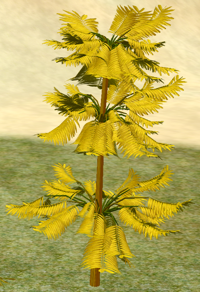 File:Tree-1-MontereyPineSapling.png