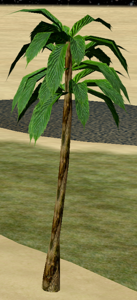 File:Tree-1-OilPalm.png