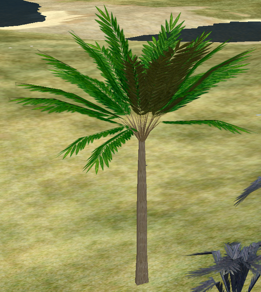 File:Tree-4-RoyalPalm.png